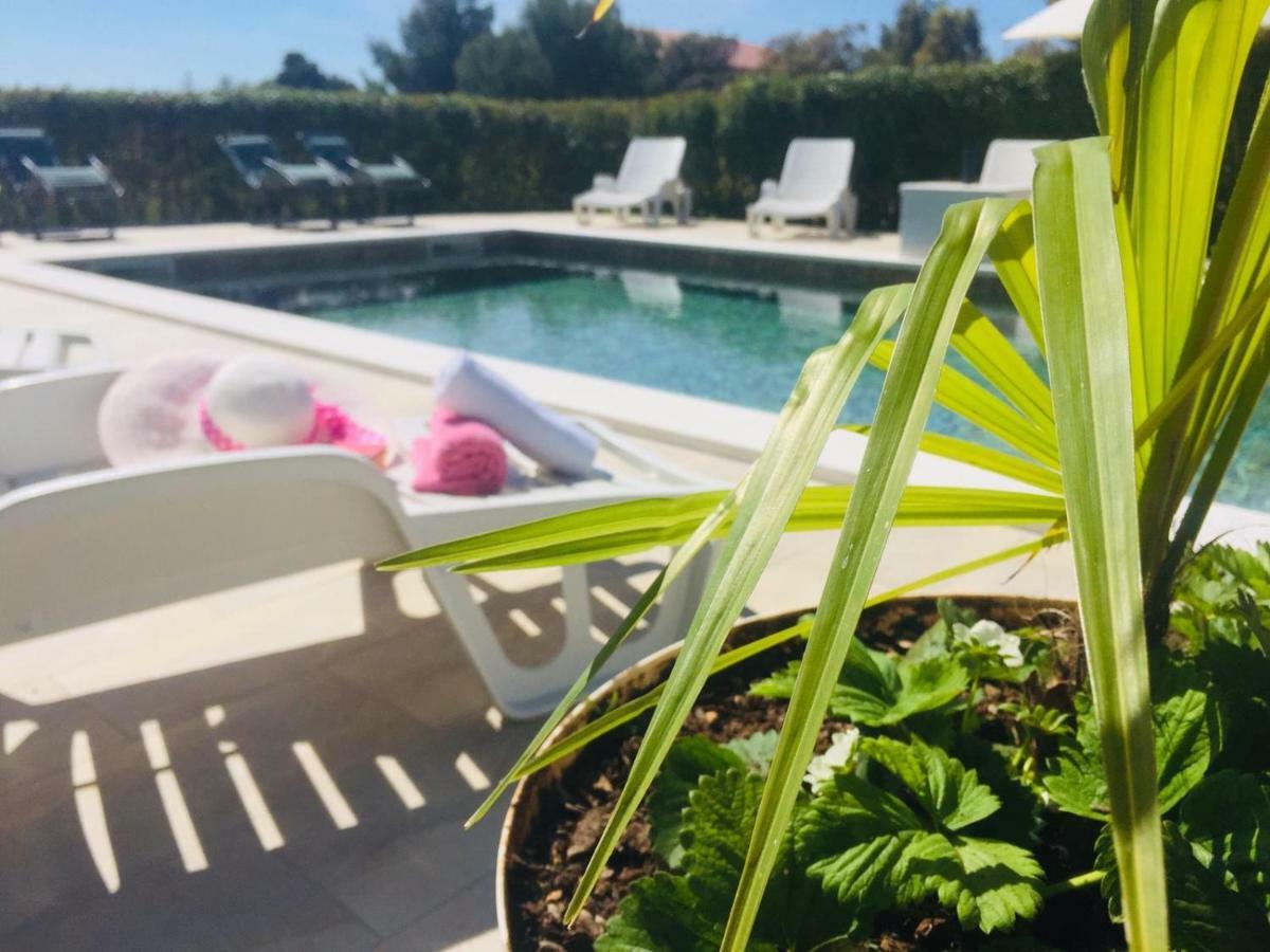 Apartmani Andelo, Tommy, Leon Bibinje Exteriör bild